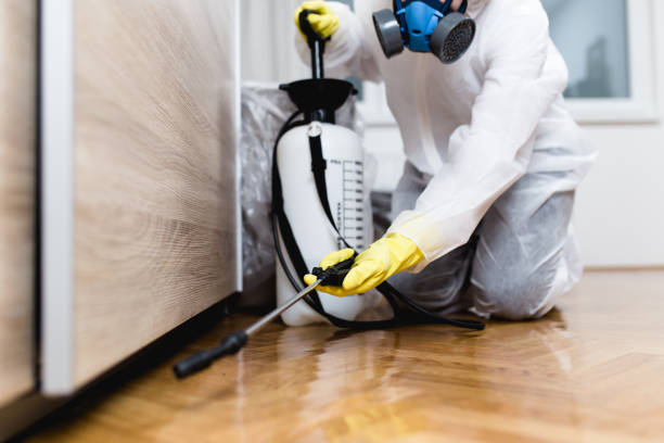 Best Pest Prevention Services  in Willard, UT