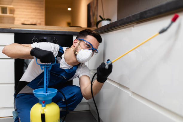 Best Residential Pest Control  in Willard, UT
