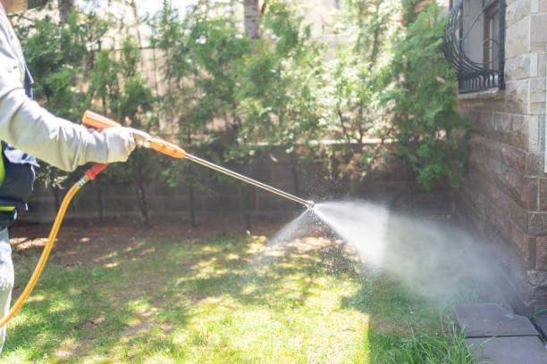 Best Local Pest Control Services  in Willard, UT