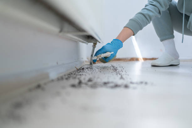 Willard, UT Pest Control Company