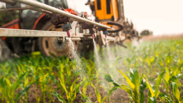 Best Commercial Pest Control Services  in Willard, UT